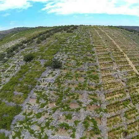 Appartement Lavanda **** *