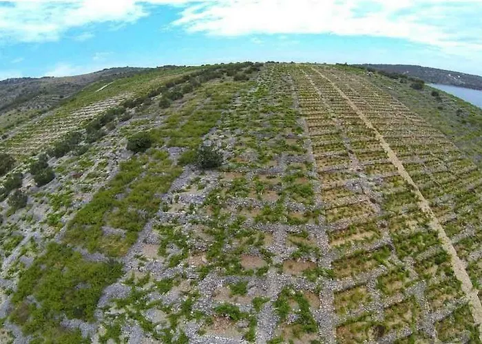 Appartement Lavanda **** *